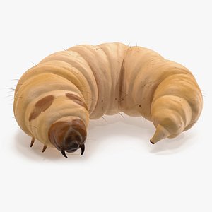 Maggot Fly Rigged Fur