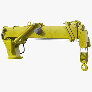 Heavy Duty Mini Crane Rigged