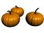 Zucca