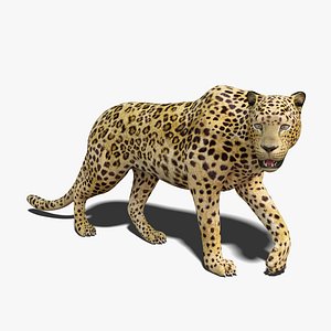 Leopard Rigged