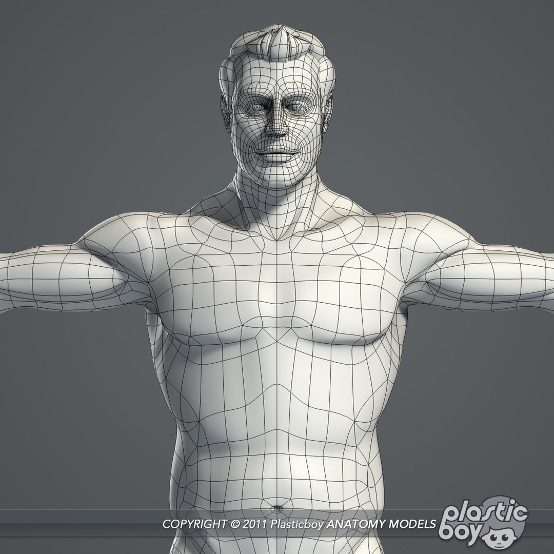 complete male anatomy 3d model https://p.turbosquid.com/ts-thumb/Ad/KRcsDK/80ESM5v3/male_body_02_wf/jpg/1302697466/1920x1080/fit_q87/0dd2de42fbab43f00726d0f113bd9896eb9f1431/male_body_02_wf.jpg