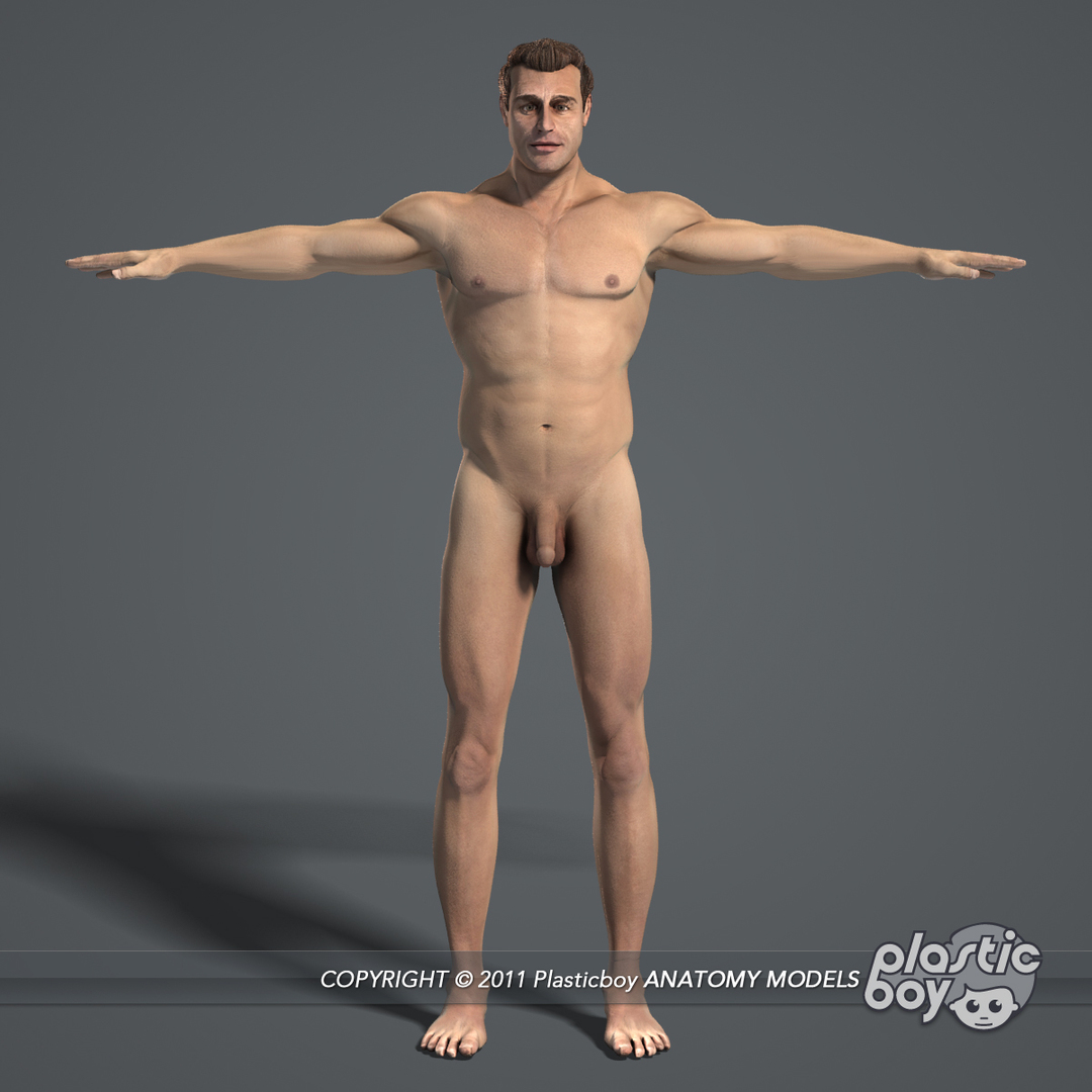 complete male anatomy 3d model https://p.turbosquid.com/ts-thumb/Ad/KRcsDK/iwwxz3Dv/male_body/jpg/1303117223/1920x1080/turn_fit_q99/7709d1833368272ffdf793ddb756e4fef220775a/male_body-1.jpg