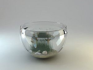 Fishbowl