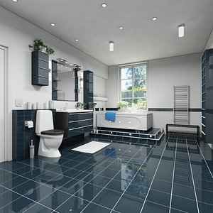 Bathroom Suite Interior