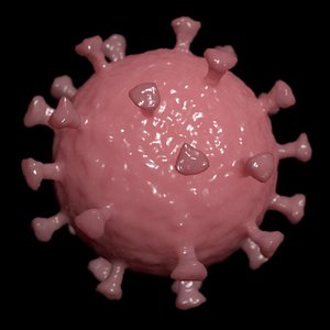 coronavirus cluster 3D model