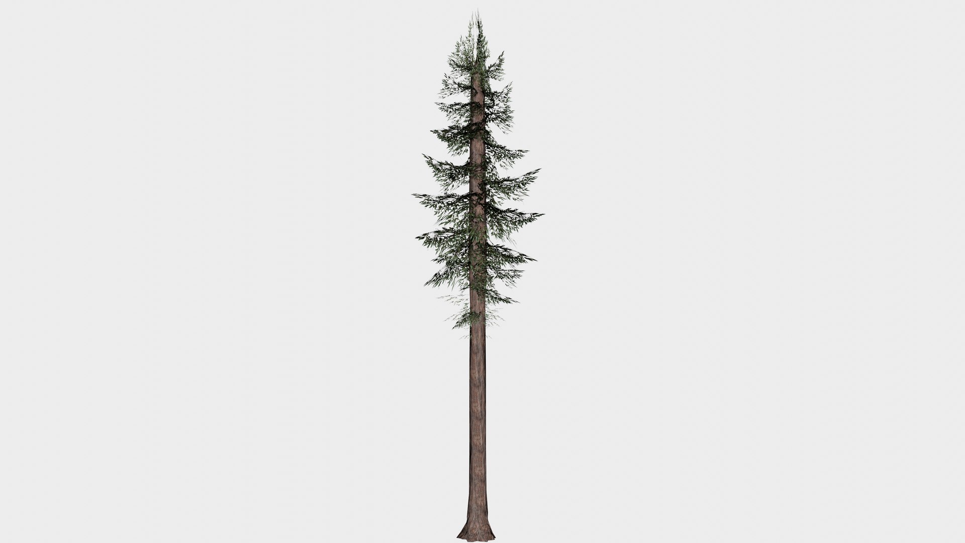 14 in 1 Woods Trees Collection - Game Assets - Low Poly 3D model https://p.turbosquid.com/ts-thumb/Ad/iPKWfC/ND/redwood/png/1745897965/1920x1080/fit_q87/b0476304b146acd9f257e6cee21663d8bf7faf64/redwood.jpg