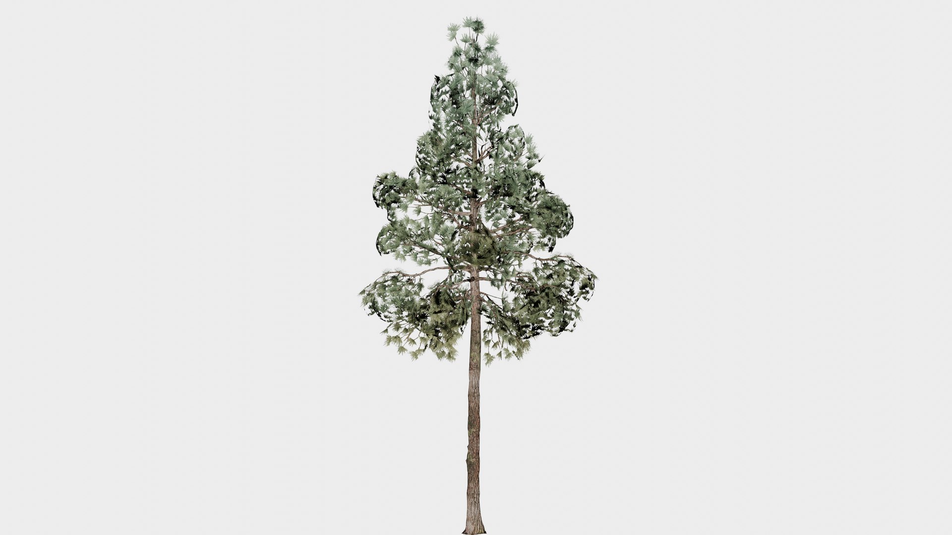 14 in 1 Woods Trees Collection - Game Assets - Low Poly 3D model https://p.turbosquid.com/ts-thumb/Ad/iPKWfC/vW/pine_01/png/1745897951/1920x1080/fit_q87/458430aae650c8fb42a08017f16701cb6dba8739/pine_01.jpg