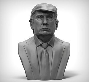Donald Trump Constructive