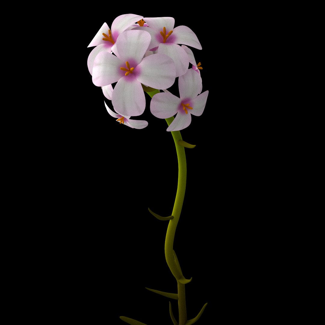 3D flowers open animation - TurboSquid 1557550