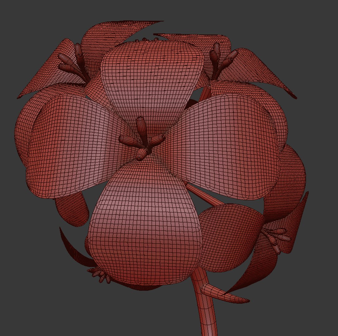 3D flowers open animation - TurboSquid 1557550