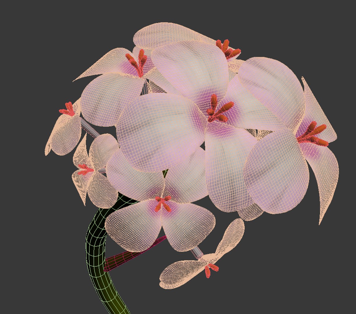 3D flowers open animation - TurboSquid 1557550