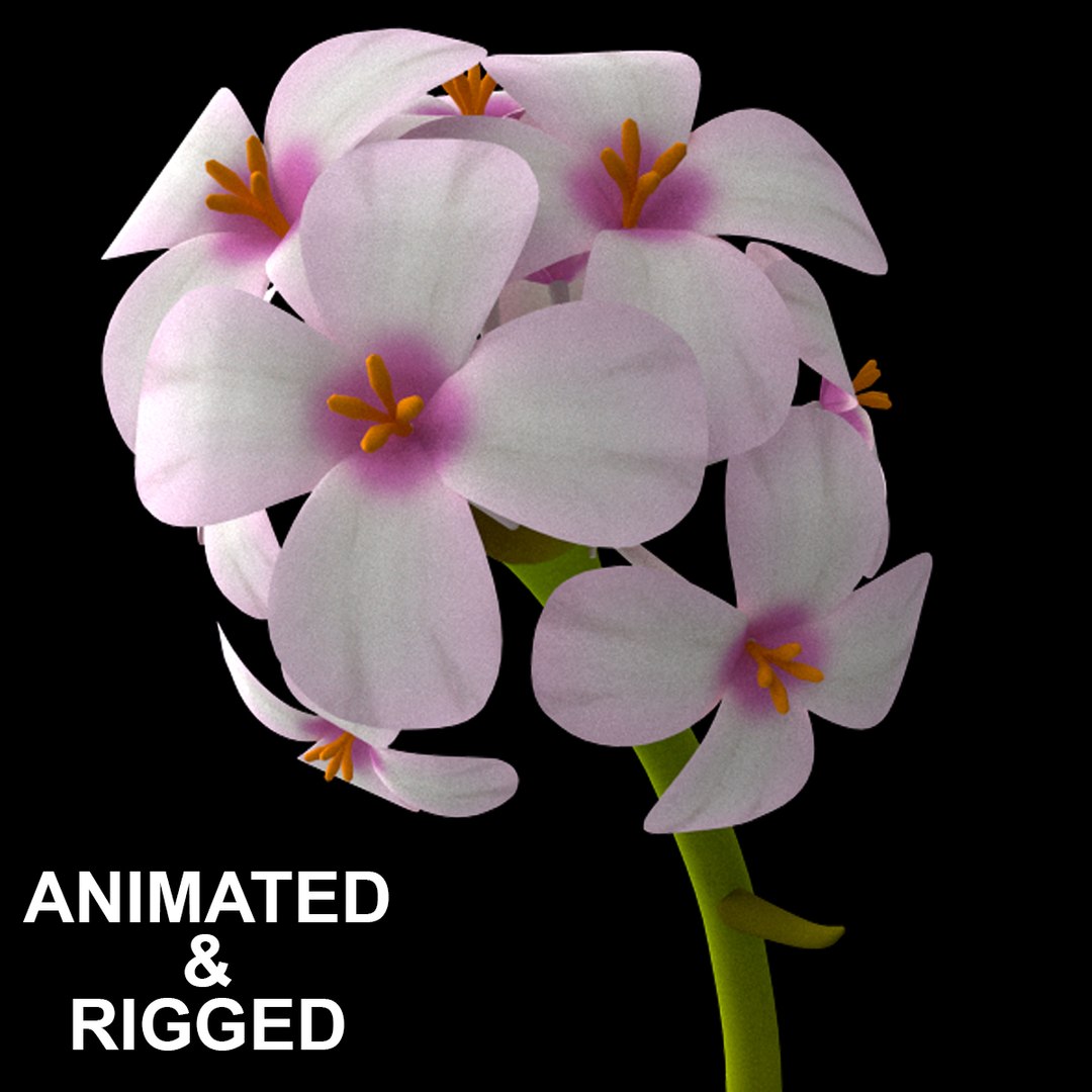 3D flowers open animation - TurboSquid 1557550