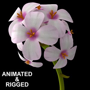3D flowers open animation