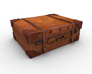 Leather suitcase