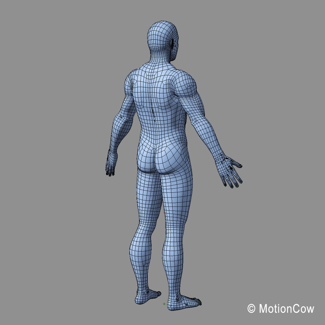 human anatomy nervous systems max https://p.turbosquid.com/ts-thumb/Ad/wv24tE/OuTzOjJN/man_wire_b/jpg/1380885915/1920x1080/fit_q87/e020403a8d5538f1406185aecb725799cf66f319/man_wire_b.jpg