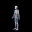 Skeleton Anatomy Nervous System - Rigged