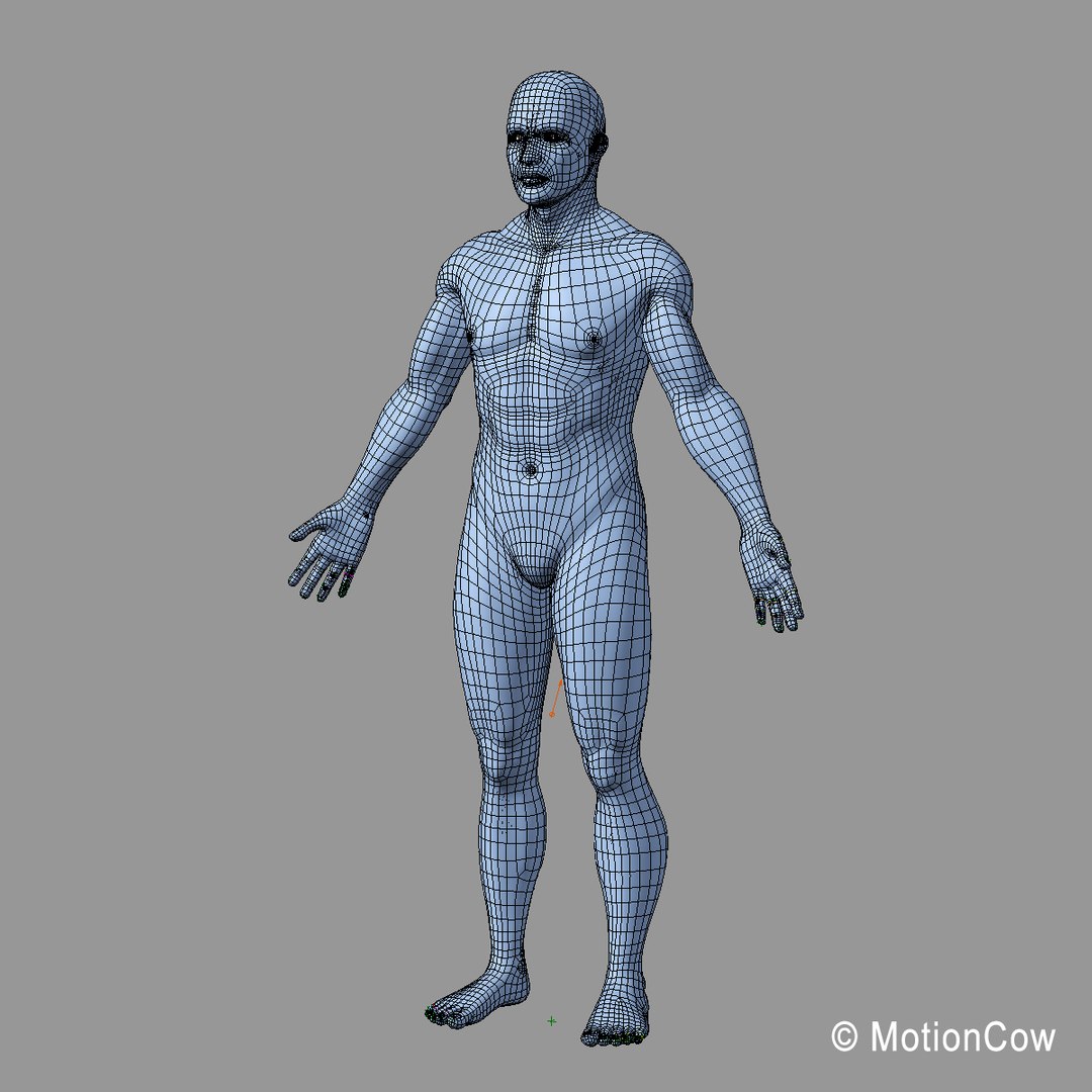 human anatomy nervous systems max https://p.turbosquid.com/ts-thumb/Ad/wv24tE/qMe9XQjU/man_wire_a/jpg/1380885915/1920x1080/fit_q87/f884cc0b49e5fc8bee0e8c95aaac71da78cc67b0/man_wire_a.jpg