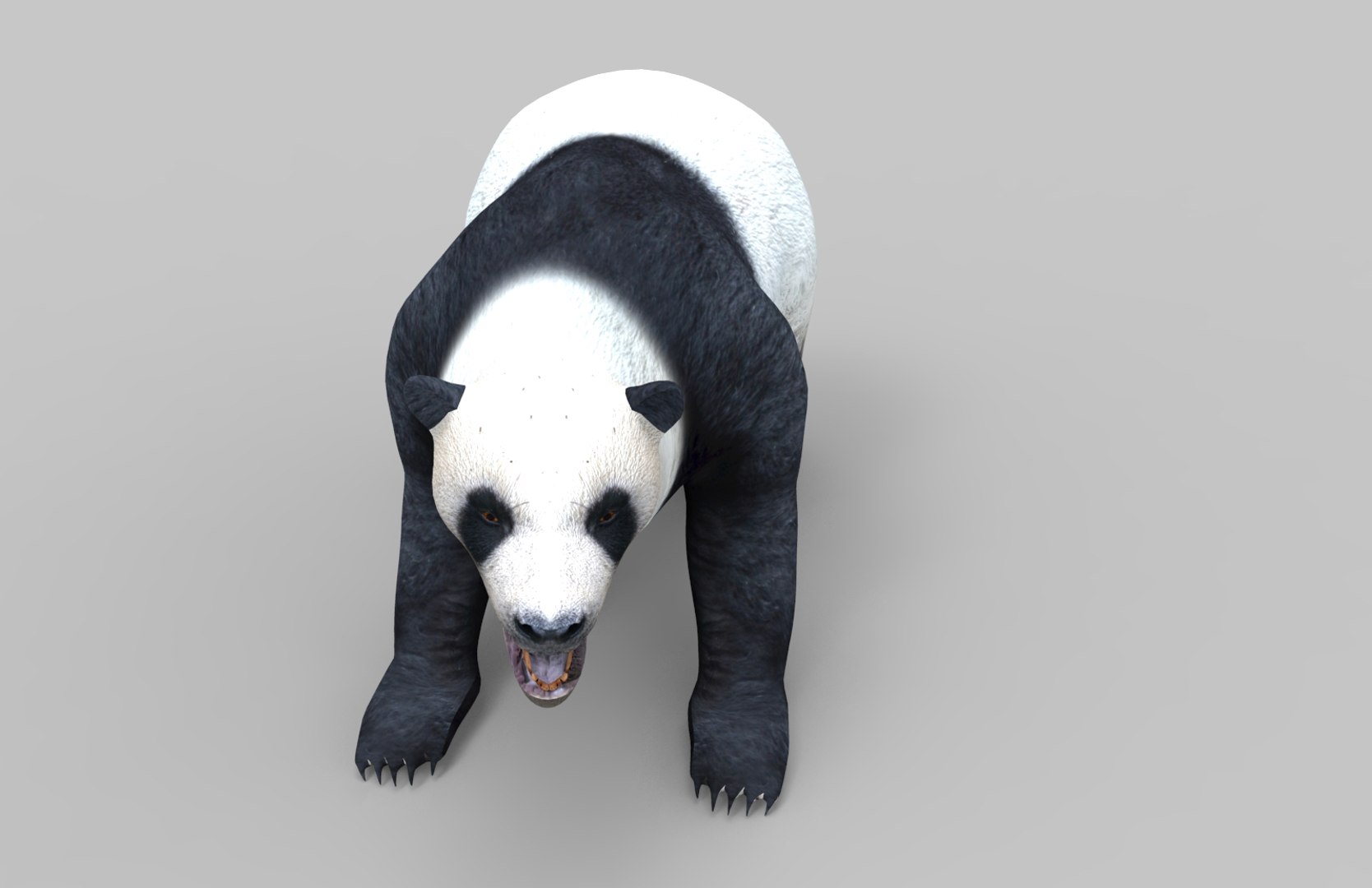 3D Bear Rigged Model - TurboSquid 1254568