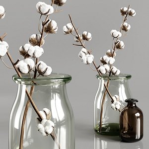 A bouquet of cotton
