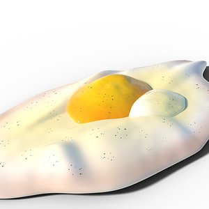 3D Omelette