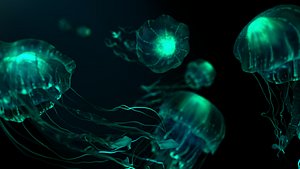Animated Bioluminescent Jellyfish for Octane AND Redshift 3D model