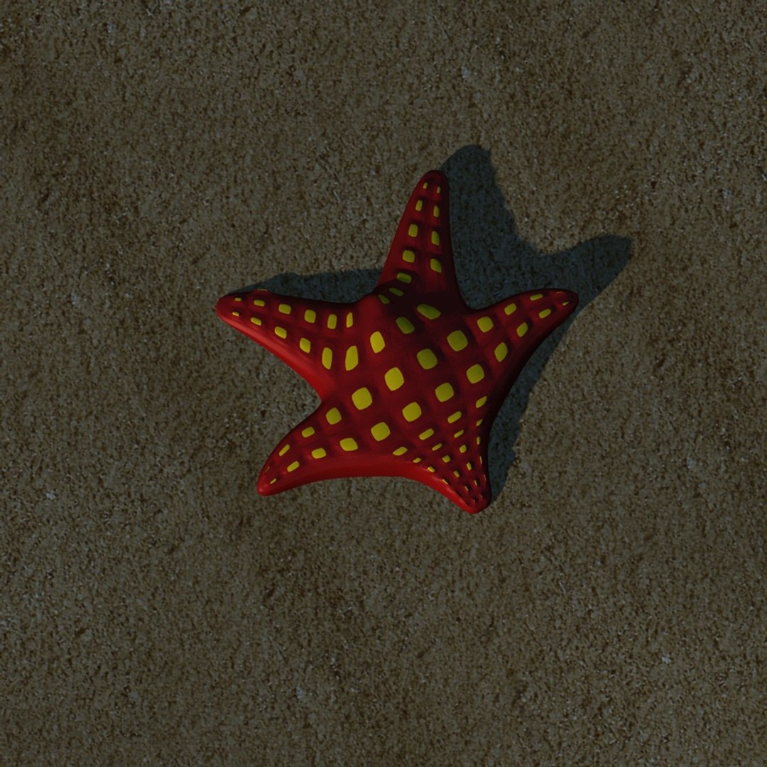 starfish star fish 3d model https://p.turbosquid.com/ts-thumb/Ae/SiCdil/MnbuCzJX/starfish3/jpg/1339136340/1920x1080/fit_q87/c20873a07a3f1ac6ff14cf184c3994d417e6be38/starfish3.jpg