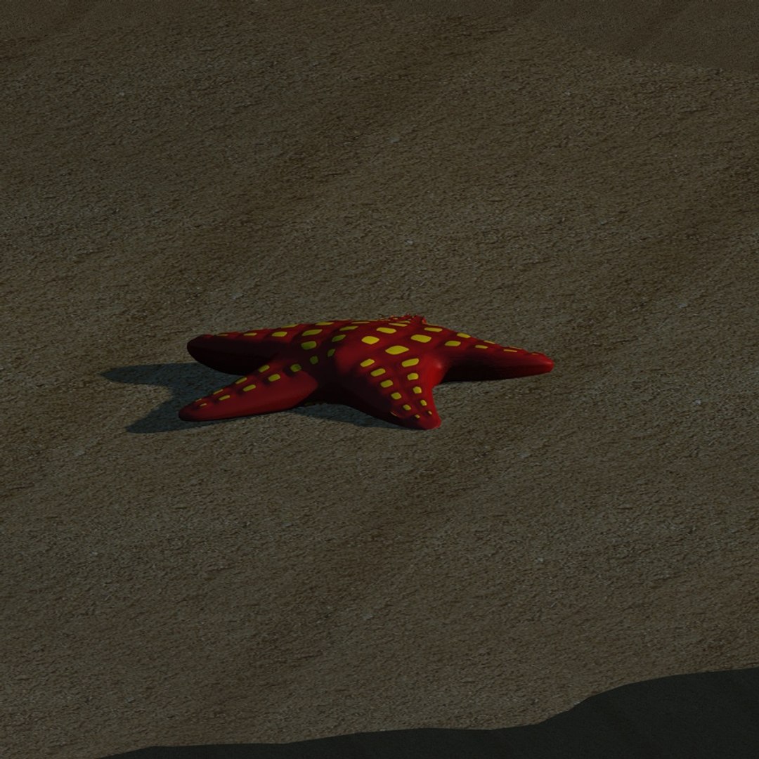 starfish star fish 3d model https://p.turbosquid.com/ts-thumb/Ae/SiCdil/fPEbnKC4/starfish4/jpg/1339136340/1920x1080/fit_q87/b85bb03d26571e0b99360f6fe52928fd29d8f84b/starfish4.jpg