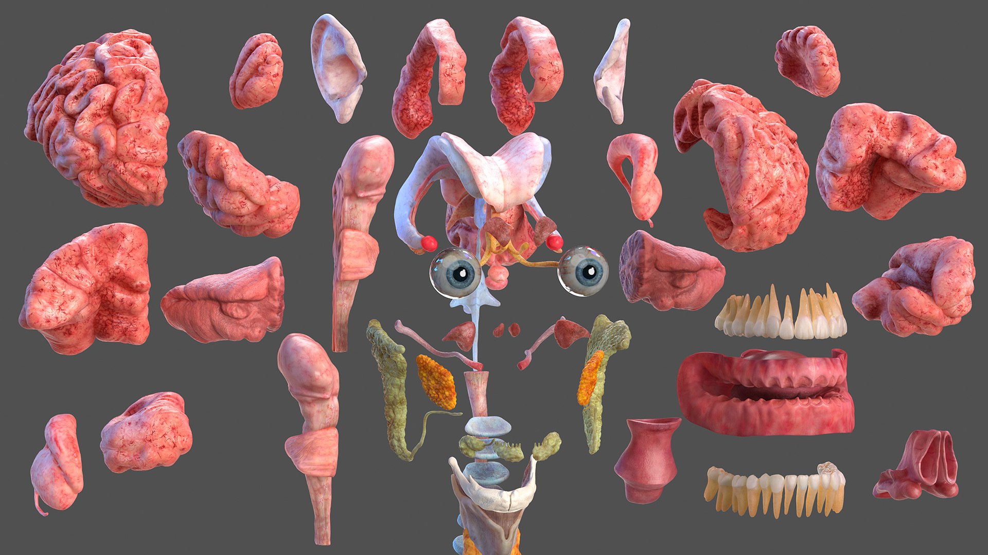 3D male body anatomy skin https://p.turbosquid.com/ts-thumb/Af/2AjP8g/1v2jetWQ/malefullbodyanatomyandskinmb3dmodel008/jpg/1572785001/1920x1080/fit_q87/df25ad093fd4562a67e79b2f74963e6b60a3fd16/malefullbodyanatomyandskinmb3dmodel008.jpg
