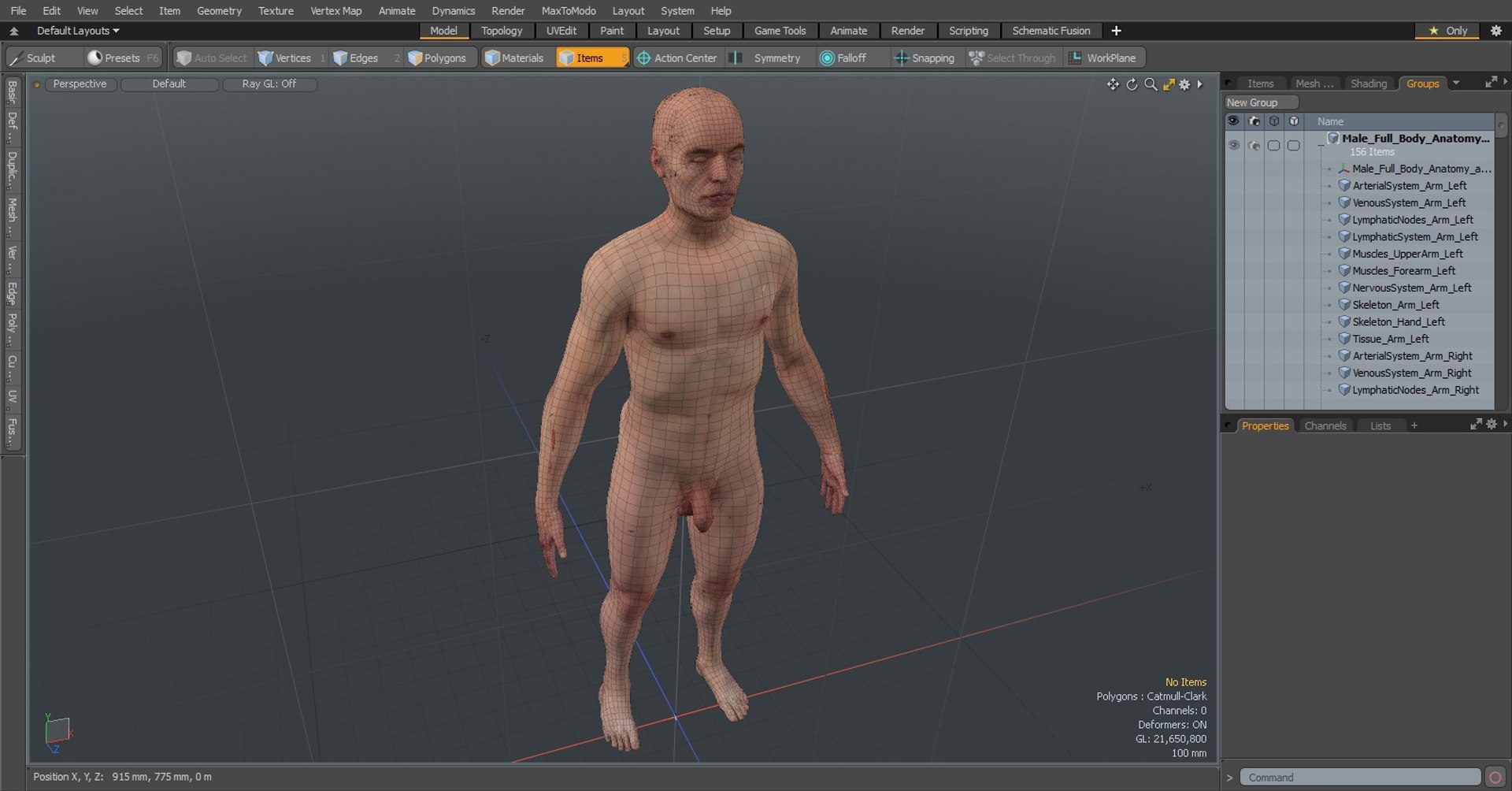 3D male body anatomy skin https://p.turbosquid.com/ts-thumb/Af/2AjP8g/4I/zsx9vgyapysdzjtd_male_full_body_anatomy_and_skin_1002/jpg/1666522789/1920x1080/fit_q87/69db1c68d1d2367c706a276100aacdcdc0e17ae7/zsx9vgyapysdzjtd_male_full_body_anatomy_and_skin_1002.jpg