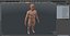 3D male body anatomy skin