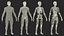 Male Full Body Anatomy and Skin