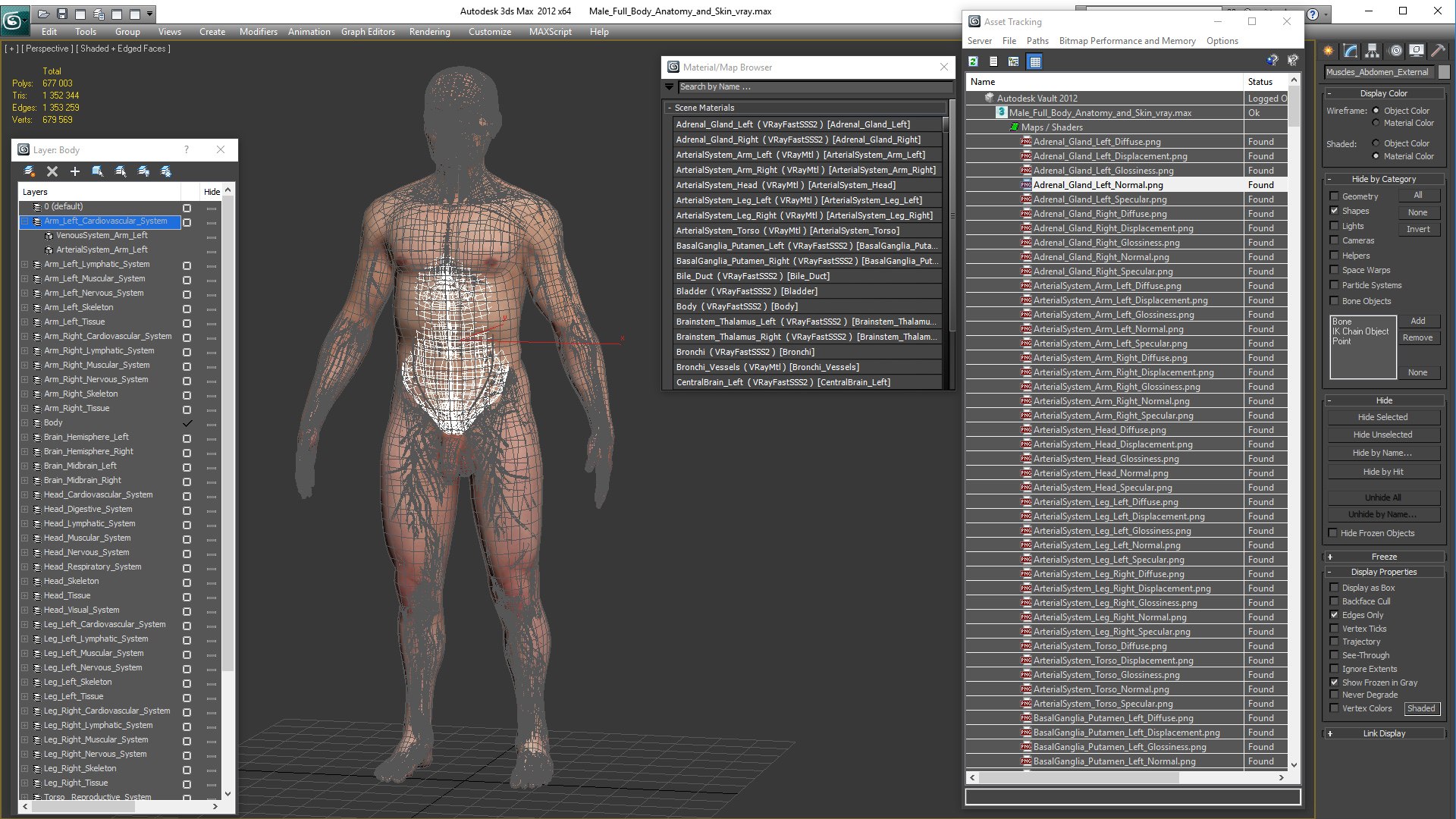3D male body anatomy skin https://p.turbosquid.com/ts-thumb/Af/2AjP8g/DrxFhNNA/malefullbodyanatomyandskinmb3dmodel164/jpg/1572785380/1920x1080/fit_q87/d65944baf99e14522c8f5799de88a3bb92da40d3/malefullbodyanatomyandskinmb3dmodel164.jpg