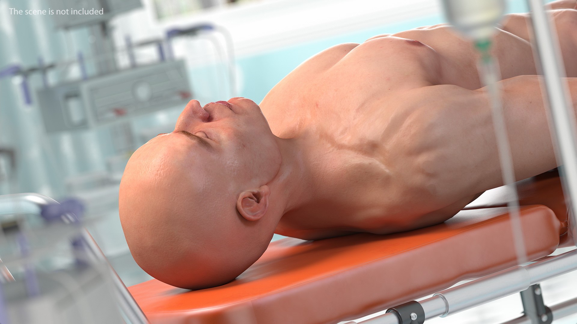 3D male body anatomy skin https://p.turbosquid.com/ts-thumb/Af/2AjP8g/Eo97tM5x/malefullbodyanatomyandskinmb3dmodel152/jpg/1572785337/1920x1080/fit_q87/367b6a6397da4e5343cbc66529c6e38c90211c7c/malefullbodyanatomyandskinmb3dmodel152.jpg