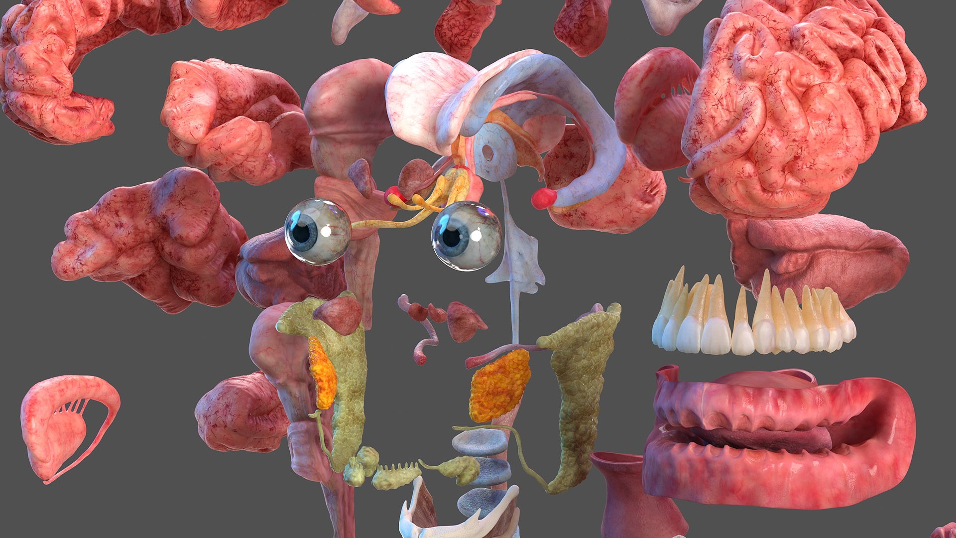 3D male body anatomy skin https://p.turbosquid.com/ts-thumb/Af/2AjP8g/OkTZikD2/malefullbodyanatomyandskinmb3dmodel028/jpg/1572785047/1920x1080/fit_q87/21d54516fad42be5fac409deff26e045b32994fd/malefullbodyanatomyandskinmb3dmodel028.jpg