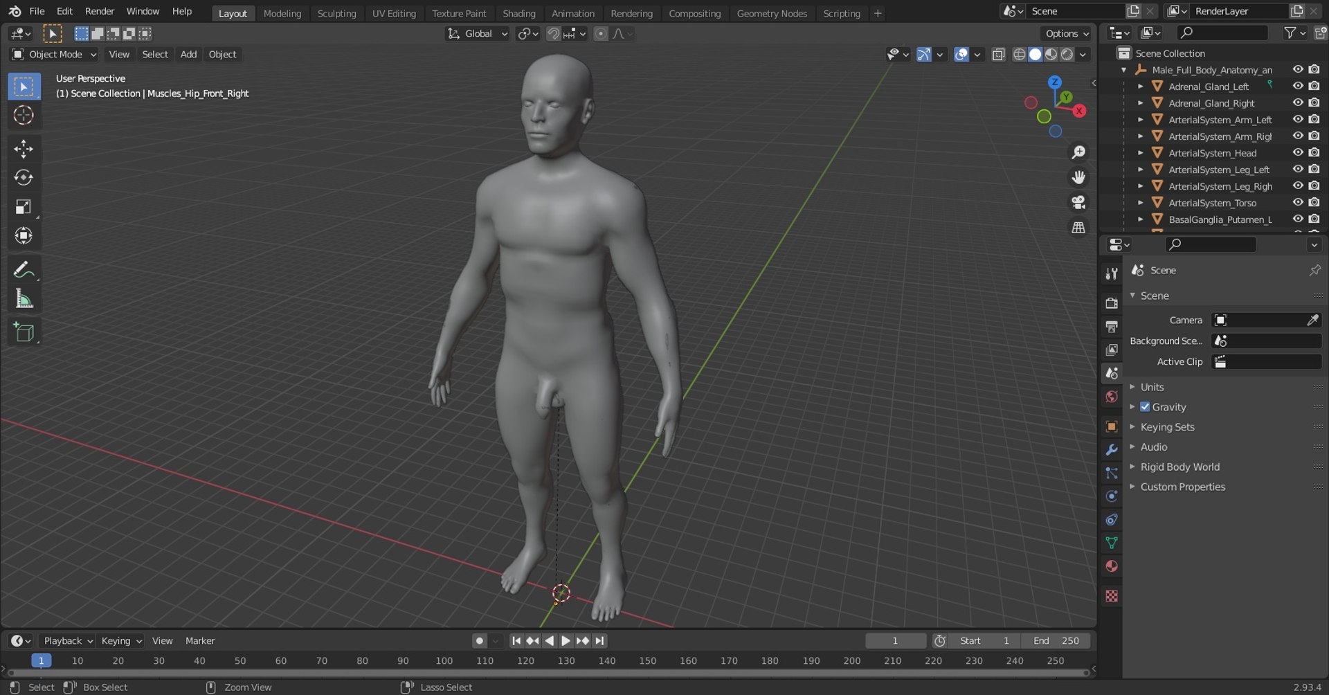 3D male body anatomy skin https://p.turbosquid.com/ts-thumb/Af/2AjP8g/UZ/xwtzsbdof3xxgceq_male_full_body_anatomy_and_skin_1001/jpg/1666522789/1920x1080/fit_q87/14893f00b089f9ee199e152d66feea15c7620856/xwtzsbdof3xxgceq_male_full_body_anatomy_and_skin_1001.jpg