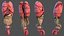 Male Full Body Anatomy and Skin
