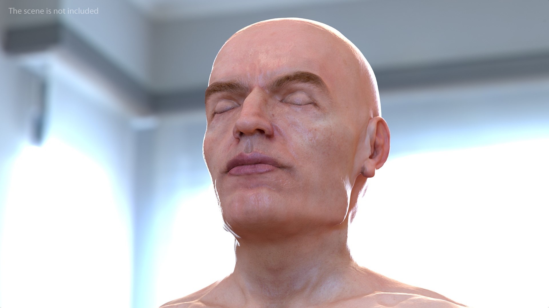 3D male body anatomy skin https://p.turbosquid.com/ts-thumb/Af/2AjP8g/hgwCASGG/malefullbodyanatomyandskinmb3dmodel150/jpg/1572785332/1920x1080/fit_q87/ae31e30e026d9df80ed544752ac1b78cf7bf04d9/malefullbodyanatomyandskinmb3dmodel150.jpg