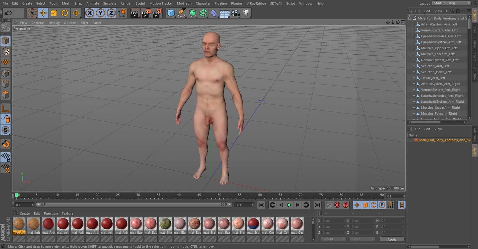 3D male body anatomy skin https://p.turbosquid.com/ts-thumb/Af/2AjP8g/lF/xkqcbdddjnbyvwys_male_full_body_anatomy_and_skin_1004/jpg/1666522788/1920x1080/fit_q87/17095a109ffd95411754b2a80b7f6ab4a1a798bd/xkqcbdddjnbyvwys_male_full_body_anatomy_and_skin_1004.jpg