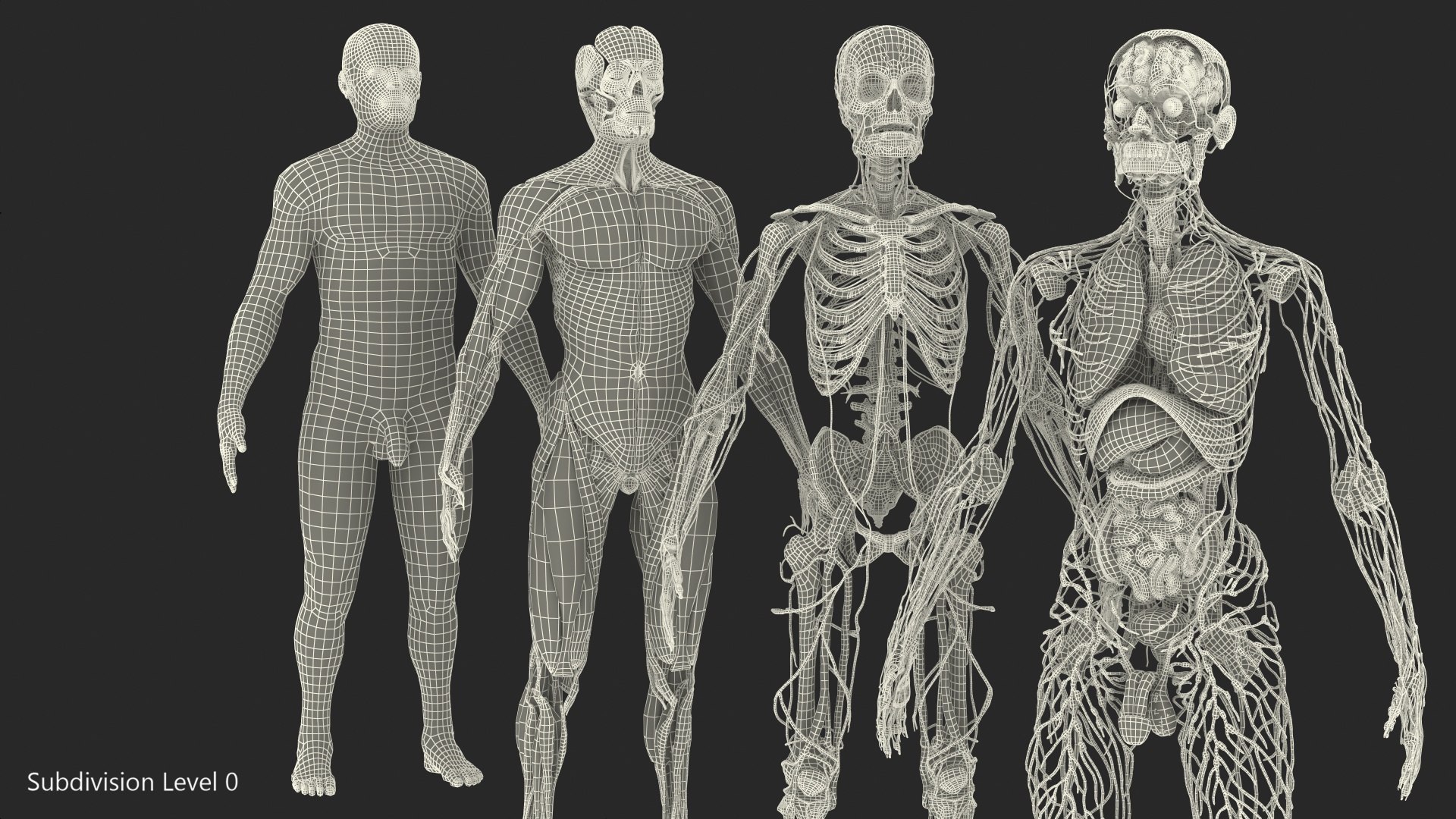 3D male body anatomy skin https://p.turbosquid.com/ts-thumb/Af/2AjP8g/nvig5bcR/malefullbodyanatomyandskinmb3dmodel156/jpg/1572785347/1920x1080/fit_q87/5231d312c8602bae2fdb3f94d3ff1e3063c0b238/malefullbodyanatomyandskinmb3dmodel156.jpg