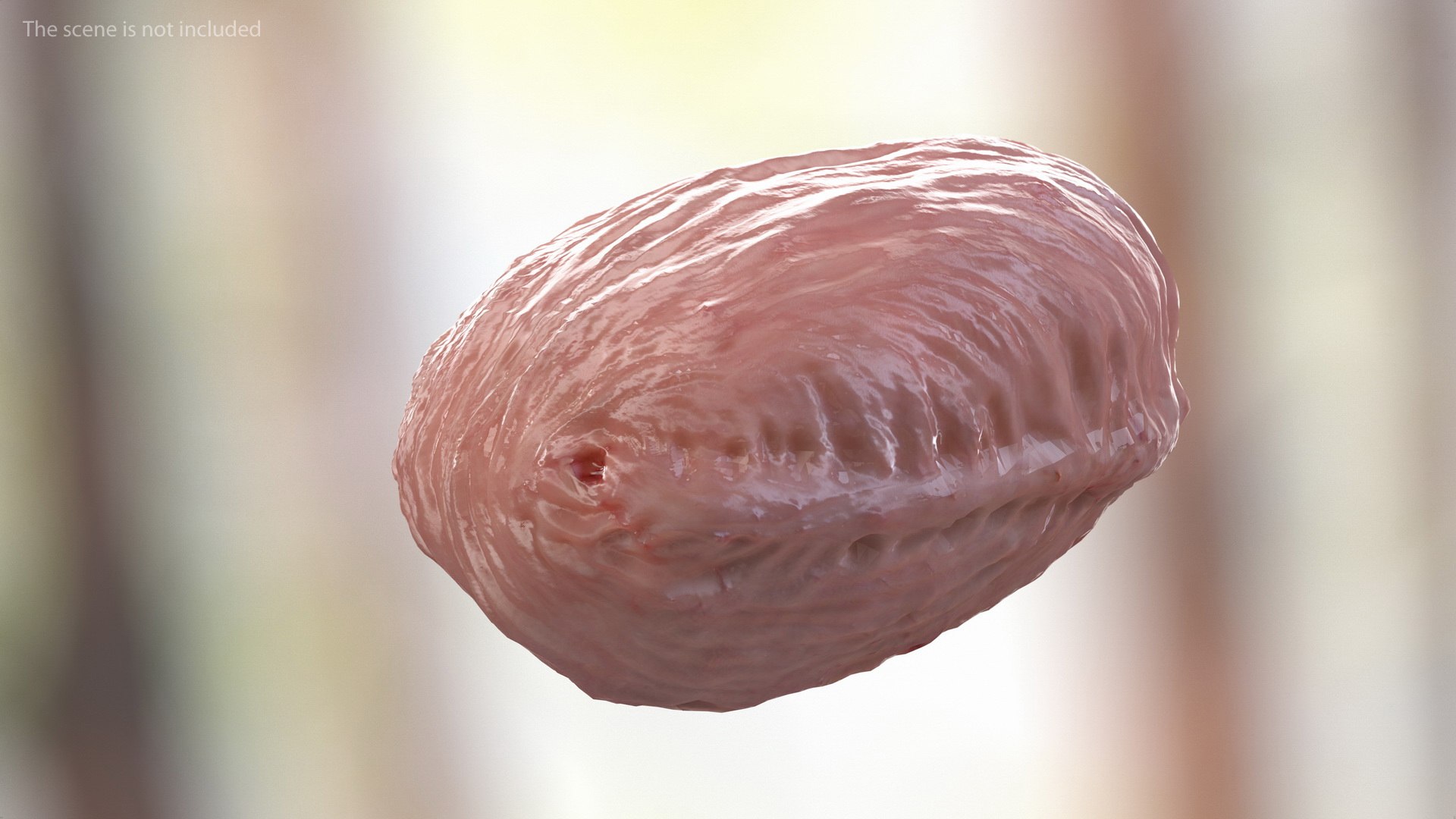 3D male body anatomy skin https://p.turbosquid.com/ts-thumb/Af/2AjP8g/xuEhwfW0/malefullbodyanatomyandskinmb3dmodel106/jpg/1572785231/1920x1080/fit_q87/a0aa3f915fd28ed7e8781c926b5377838826ecc4/malefullbodyanatomyandskinmb3dmodel106.jpg