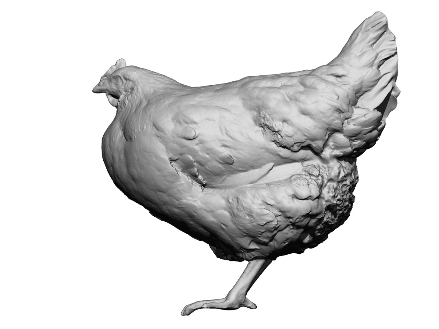 Real Chicken Scanned 3D Model - TurboSquid 1387066