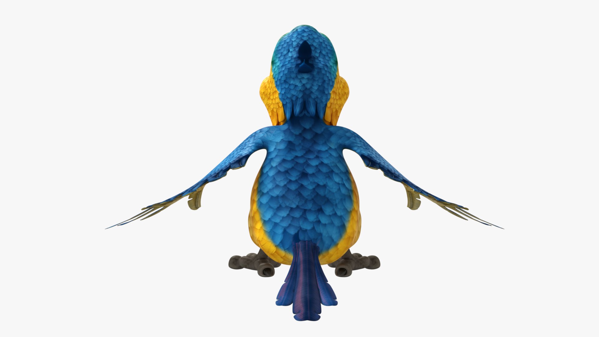 3D Macaw Parrot Rigged Low-poly 3D model https://p.turbosquid.com/ts-thumb/Af/5rwLB9/3t/3/png/1741760635/1920x1080/fit_q87/e4406d2d0a6ab6ba71110aa39f986e2ee6c36a57/3.jpg