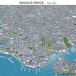 3D Manaus Brazil model
