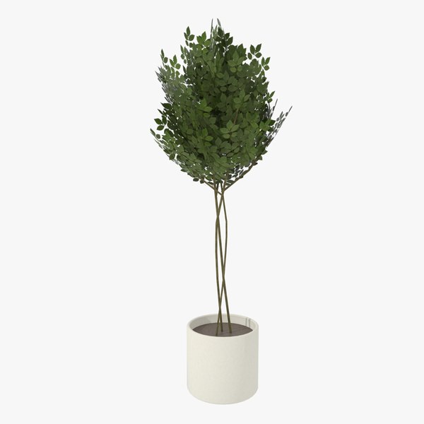 modern pot planted 3ds