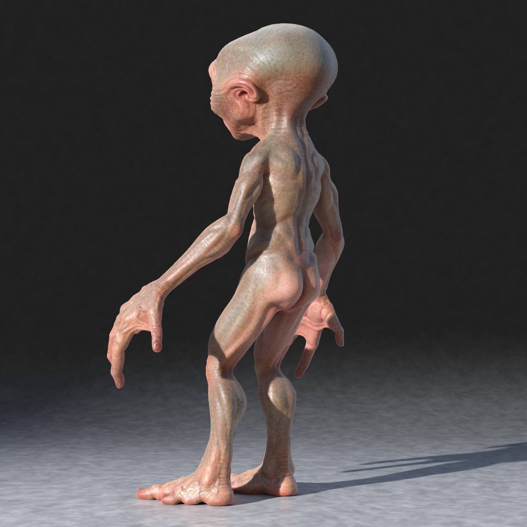 ma alien rig https://p.turbosquid.com/ts-thumb/Af/YBYvvl/HsQ4IrSl/alien10/jpg/1419079504/1920x1080/fit_q87/848062c5fa114de8fb344b0ed4f7e6532577c3fd/alien10.jpg