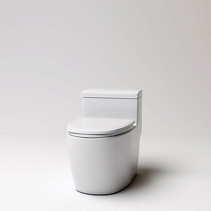 toilet(42)