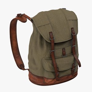 3d model standing travel backpack
