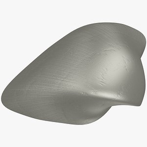 seashell sea shell 3D model