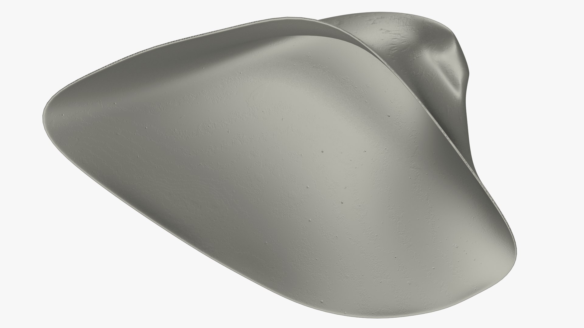 Seashell Sea Shell 3D Model - TurboSquid 1624778