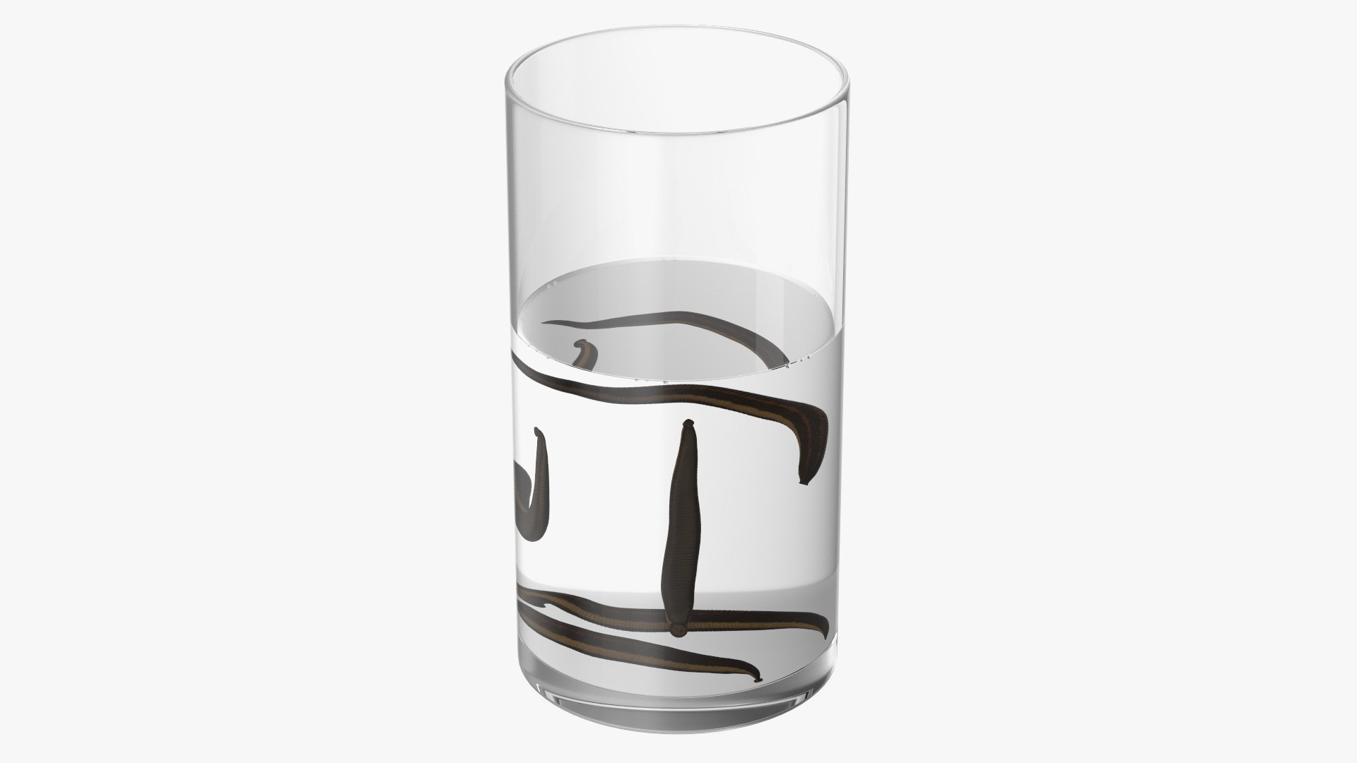 Glass Full of Medicinal Leeches 3D model preview